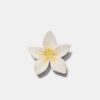 Blumen-Clip
