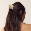 Blumen-Clip